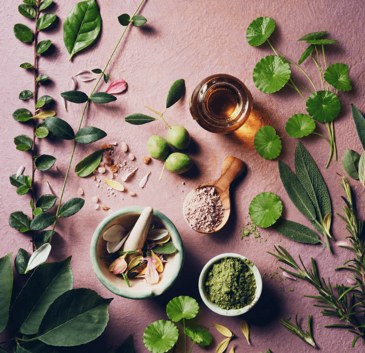 Fermentación en cosmética, materias primas