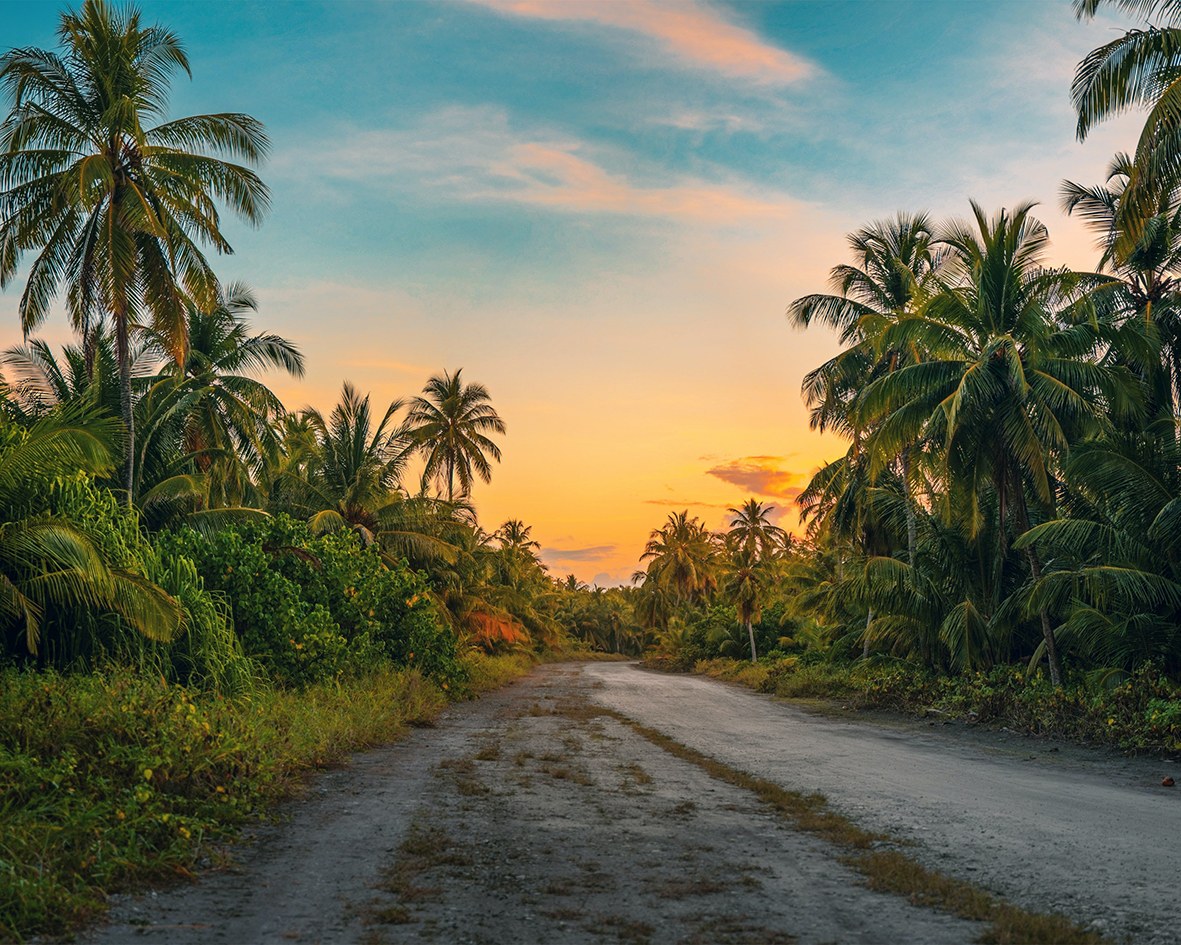Rainforest with a road and the sunset in the centre.