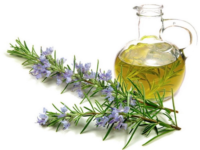 CO2 rosemary extract