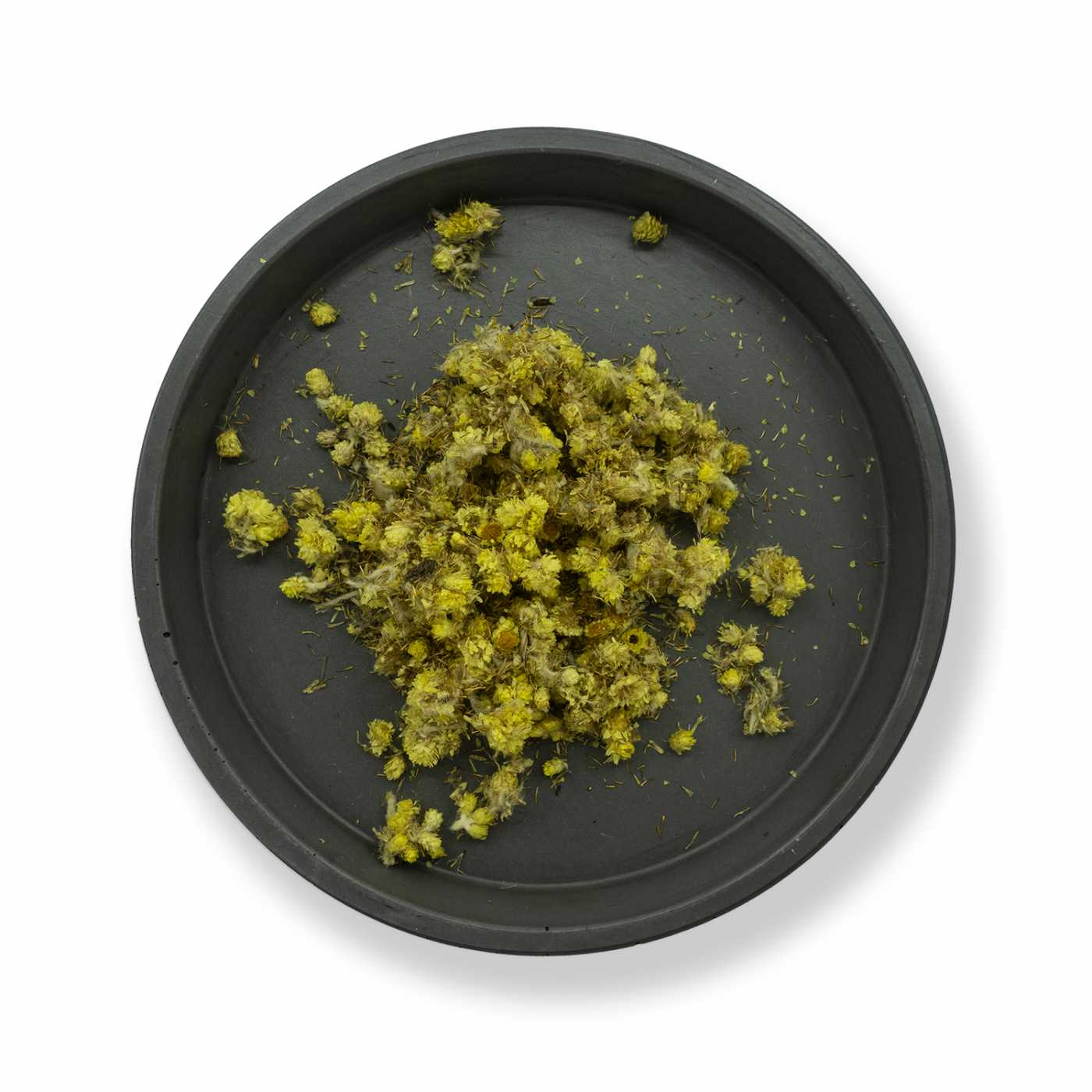Sandy Everlasting, Dried Flower, 50 g