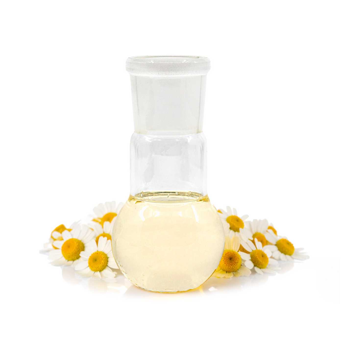 Olio essenziale, camomilla romana, 5 ml