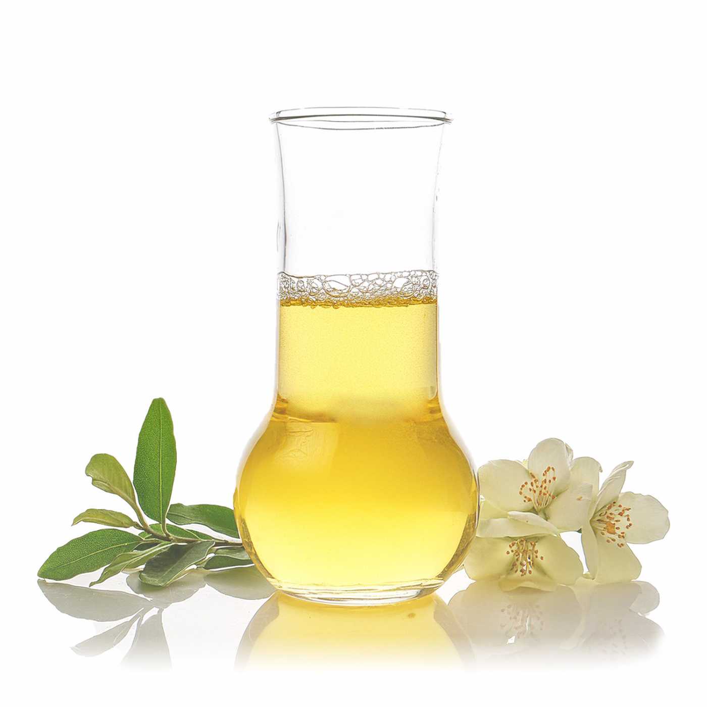 Cajeput Essential Oil, 100ml