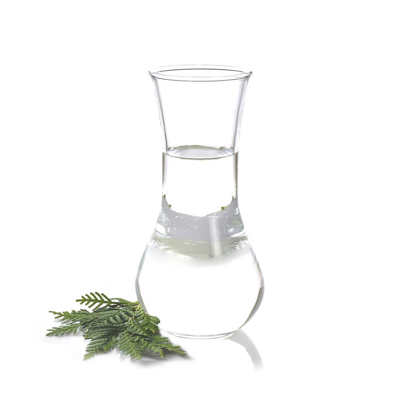 Thuja Orientalis Leaf (Cedarleaf) Essential Oil, 100 ml