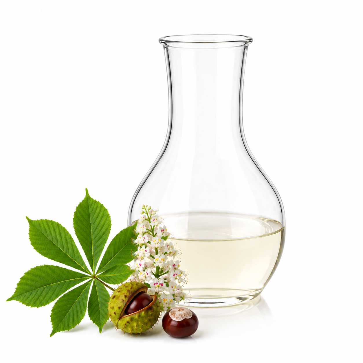 Aktywny ekstrakt wodny z kasztanowca, BIO, 100 ml