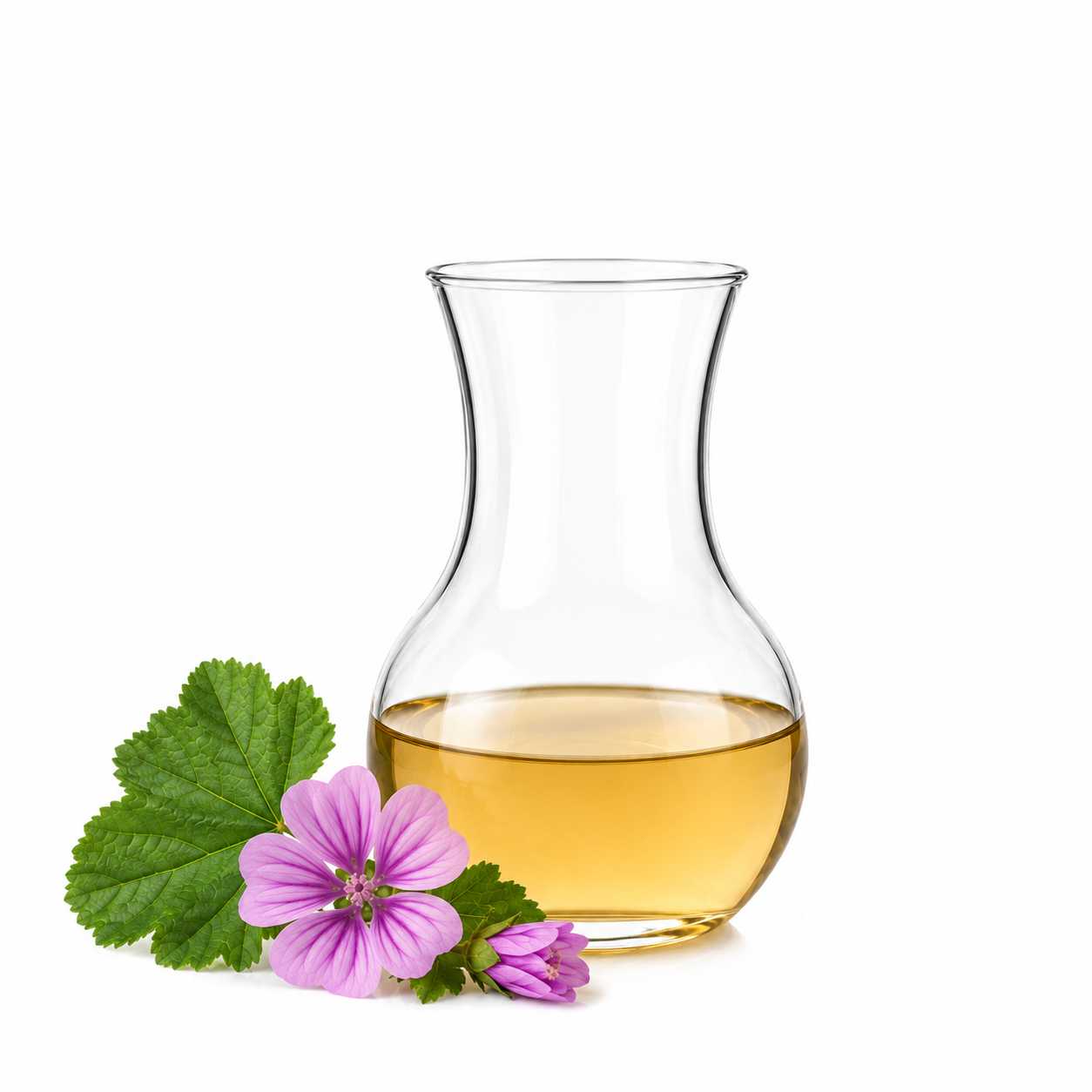 Aktywny ekstrakt wodny ze ślazu, BIO, 100 ml