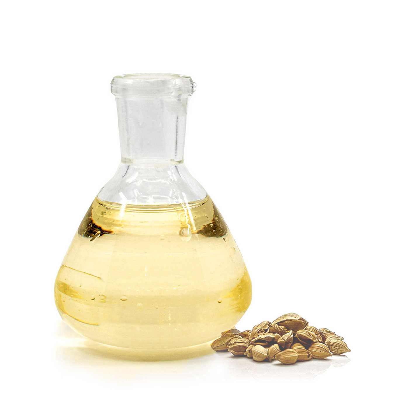 Argan Oil Deodorized, Organic, 5 l