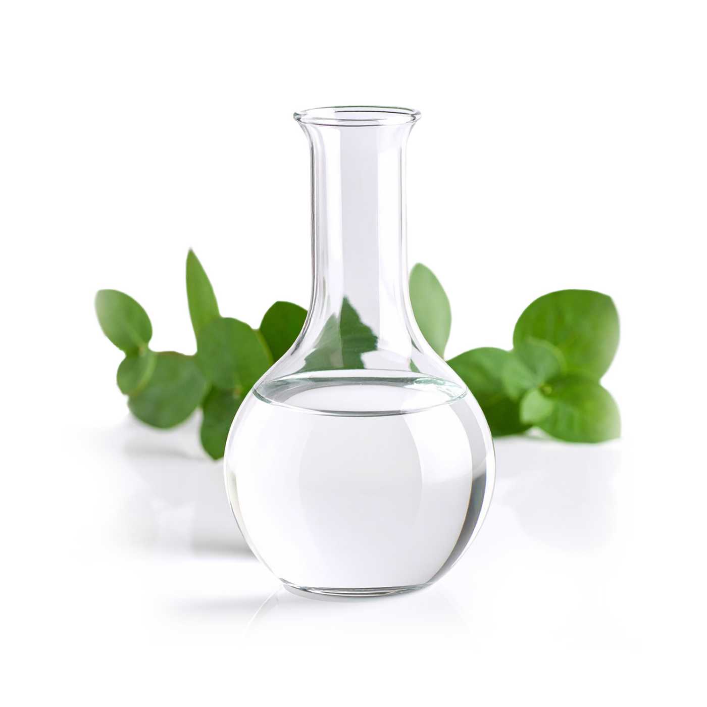 Mint and Eucalyptus Fragrance Oil, 500 ml
