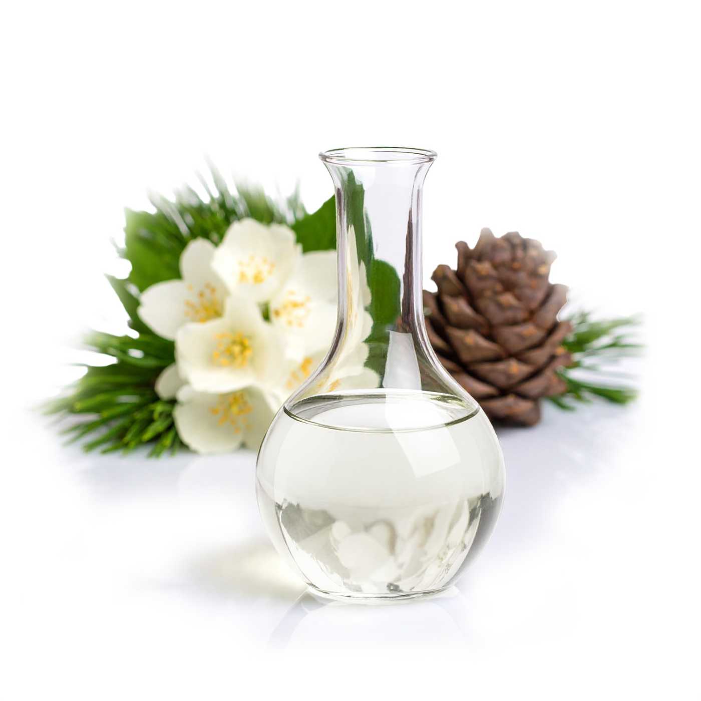 Vonný olej, Vetvička ihličia 10 ml